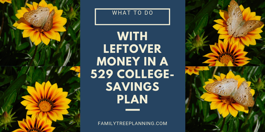 what-to-do-with-leftover-money-in-a-529-college-savings-plan-family